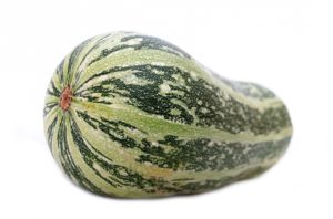 Squashspaghetti